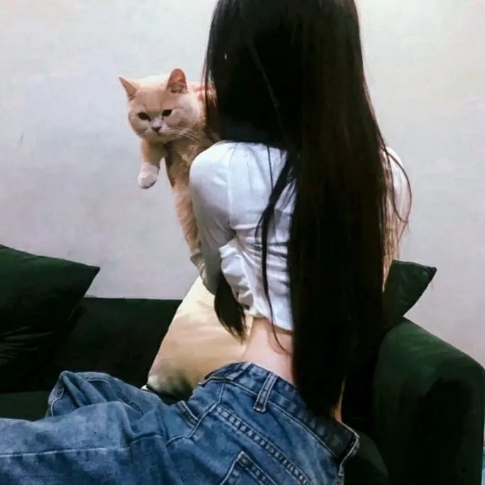 蝴蝶效应